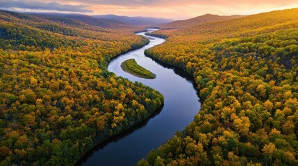 Fototapeta premium A breathtaking aerial view of a winding river cutting through a dense forest, golden autumn colors glowing.