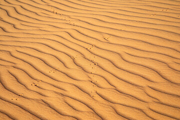 Red sand desert