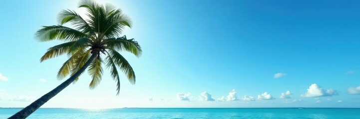 Single coconut palm silhouetted, azure sky backdrop, sunrise, sunset