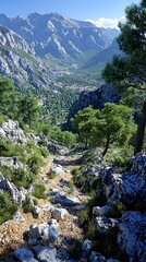 Mountain Trail Valley View