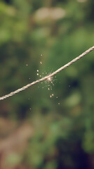 Close-up of sparks on a wire.