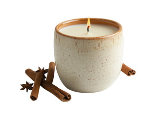 The image presents a lit candle inside a mug with cinnamon sticks and star anise.