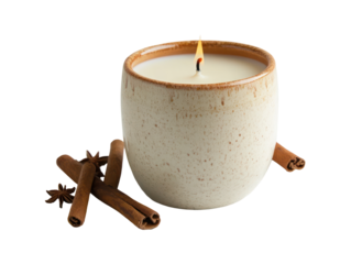 The image presents a lit candle inside a mug with cinnamon sticks and star anise.