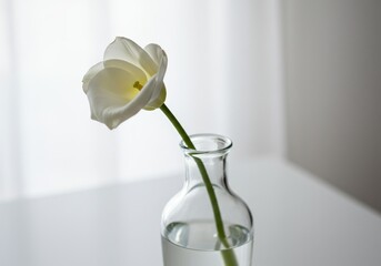 flower in vase