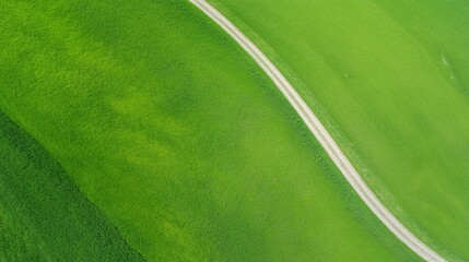 A grassy field with a path running through it from aerial view