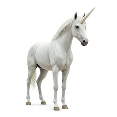 Obraz premium A white unicorn on a white background