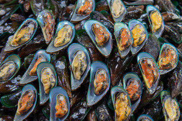 THAILAND PATTAYA NAKLUA SEAFOOD FISH MARKET