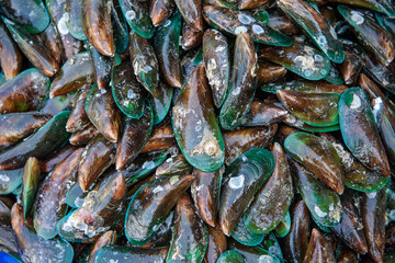THAILAND PATTAYA NAKLUA SEAFOOD FISH MARKET
