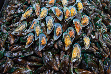 THAILAND PATTAYA NAKLUA SEAFOOD FISH MARKET