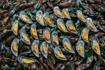 THAILAND PATTAYA NAKLUA SEAFOOD FISH MARKET