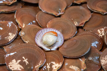 THAILAND PATTAYA NAKLUA SEAFOOD FISH MARKET