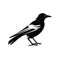 Obraz premium Magpie Bird vector silhouette Illustration