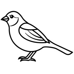 Sparrow line art vector on white background.