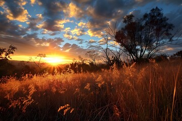 Obraz premium Golden Hour Vista: A breathtaking landscape bathed in the warm glow of sunset, where golden light kisses the tall grass and silhouette of a lone tree.