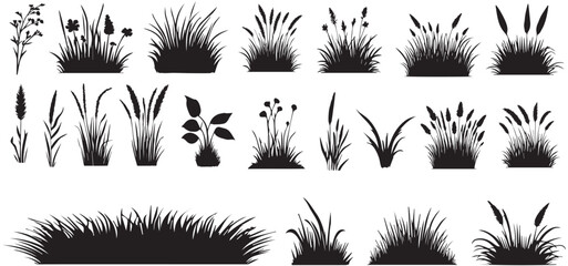 Grass silhouette vector Grass icon vector © shahzad