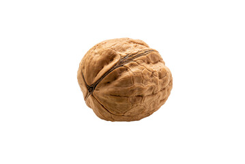Walnut isolated on white background