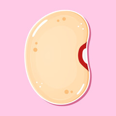 Bean Illustration Fresh and Healthy Legume