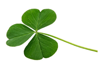 Obraz premium Green leaf clover isolated on transparent background Generative Ai