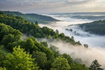 A breathtaking vista unfolds as ethereal mists and wisps of fog dance beneath a resplendent emerald canopy, creating an enchanting spectacle of contrasting elements and otherworldly ambiance