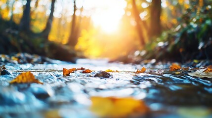 A peaceful glow surrounded by nature's autumnal flow.