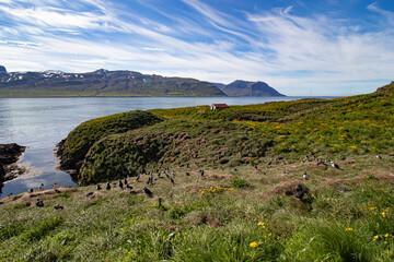 iceland