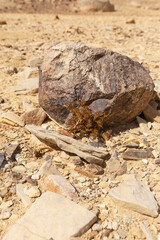 travel through the sandy desert, blue sky and many clouds