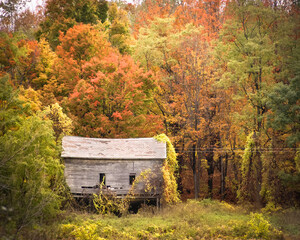 Abandoned barn surrounded by brilliant autumn colors