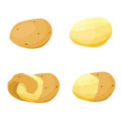 Peeled potato, potato with peel vector icon set. Potatoes isolated on white background.
