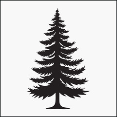 Obraz premium pine tree silhouette