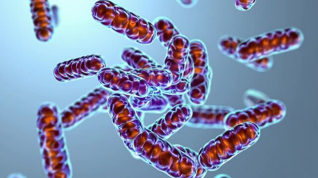 3d rendered illustration of bacteria, bacteria under microscope
