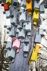 Colorful Birdhouses on Tree Trunk in Urban Environment