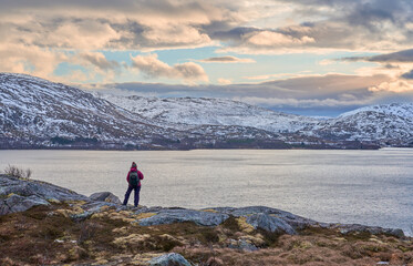 woman hiking and  admiring the sea and landscape at sunrise at the Straumsbotn fFjord on Senja Island in northern Norway
