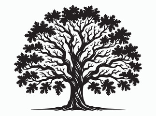 Oak Tree Silhouette with Spreading Branches and Majestic Shape in Natural Landscape