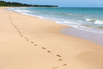 Serene sandy beach with ocean waves and footprints along the shoreline under a clear blue sky