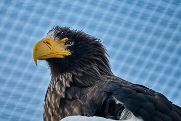 Few shots in Prague ZOO, Czech republic 