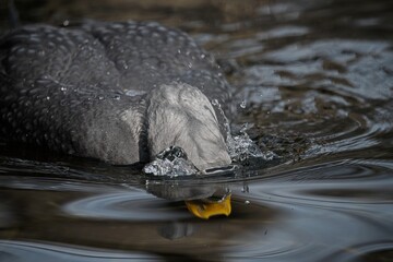 Few shots in Prague ZOO, Czech republic 