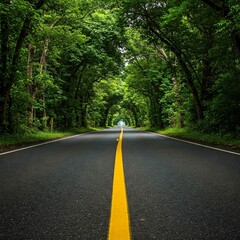 Obraz premium Road in the forest