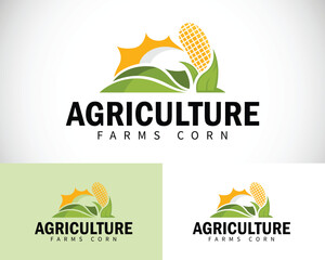 farm corn logo creative design concept agriculture sun nature