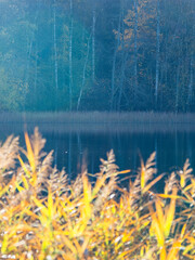 Autumn colors reflecting on a tranquil lake surrounded by trees in Sweden
