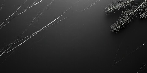 Black Marble Surface with White Veins and Evergreen Sprigs Elegant Design for Decoration Backdrop