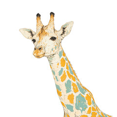 Obraz premium A close - up illustration of a giraffe with a unique color pattern, featuring light blue and orange patches on its neck and head
