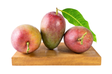 Three red and green mangoes sit on a light wooden block against a white background. A bright green leaf attached to the center mango’s stem adds a touch of freshness.