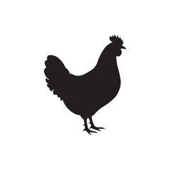 
Black Hen silhouette vector illustration on white background