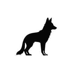 Coyote silhouette