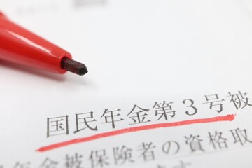 国民年金に関する書類　第3号被保険者