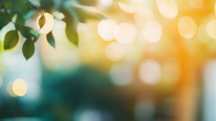 Golden sunlight filters through lush green leaves, creating a dreamy bokeh effect that envelops the surroundings in warmth and tranquility. A perfect moment in nature invites peaceful reflection