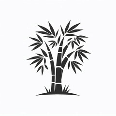 Fototapeta premium Silhouette of a Bamboo Tree