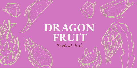 Pitahaya half fruit pink background. Dragon Fruit hand drawn composition. Tropical food in ink sketch style banner. Vector manual illustration.