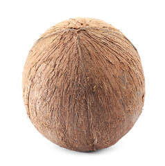One whole coconut in shell isolated on white