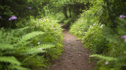 Obraz premium Exploring lush greenery on a serene pathway in nature organic environment tranquil viewpoint